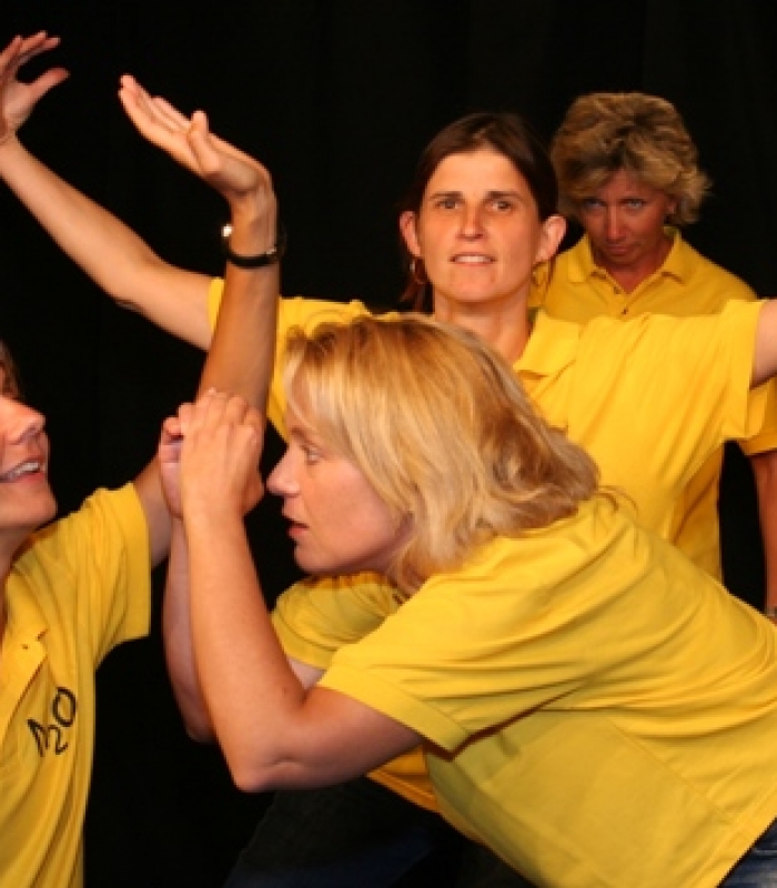 Trainig 2010 ImproVision