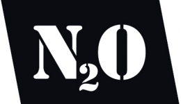N2oLogoNeu